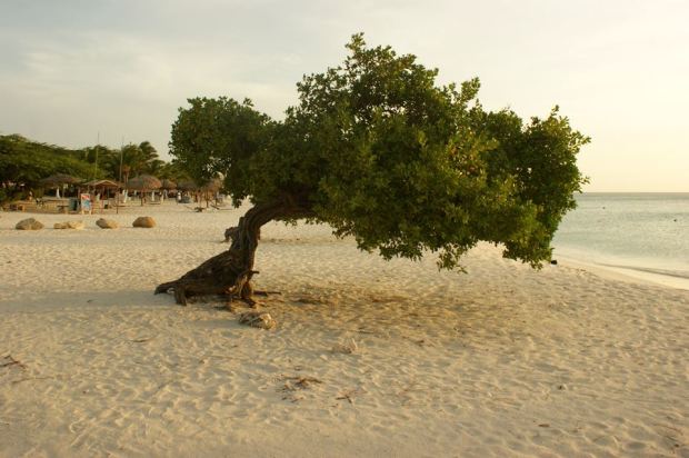 1504021_834605169888475_1861762576_n