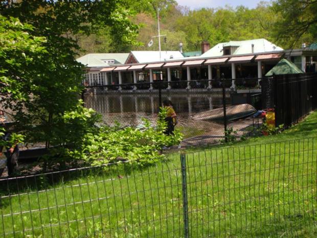 1912151_839889756027103_513824761_n