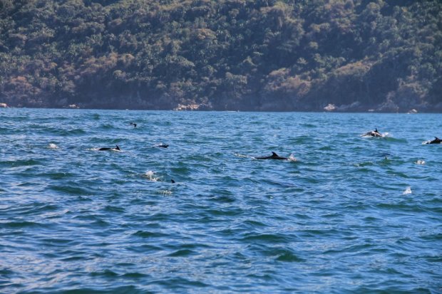 420250_384586101557053_975392987_n