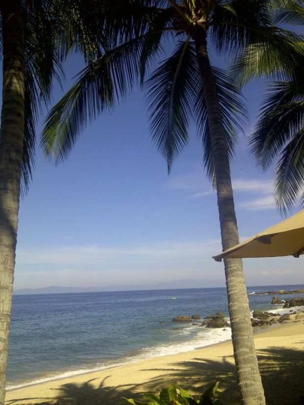 431227_384589648223365_809057696_n