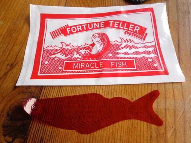 The Mermaid Inn New York City East Village fortune teller miracle fish